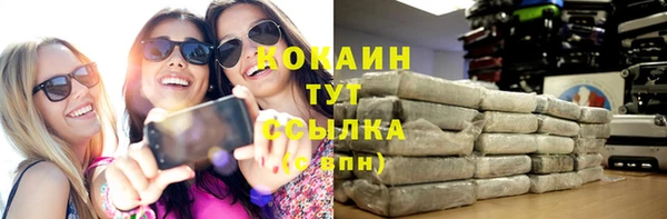 прущие крисы Кулебаки