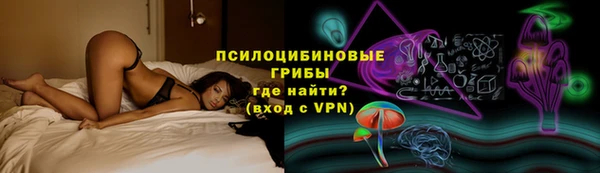 марки nbome Вяземский