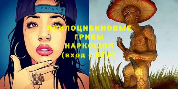 марки nbome Вяземский