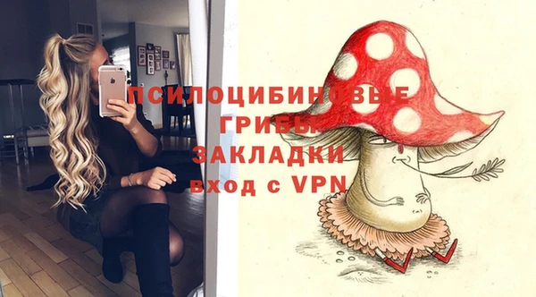 марки nbome Вяземский