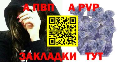 СК Кингисепп