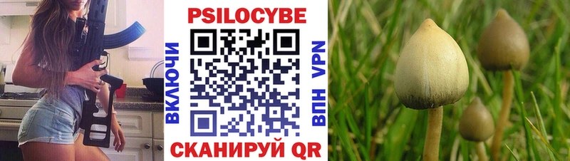 Галлюциногенные грибы прущие грибы  гидра маркетплейс  Минеральные Воды 