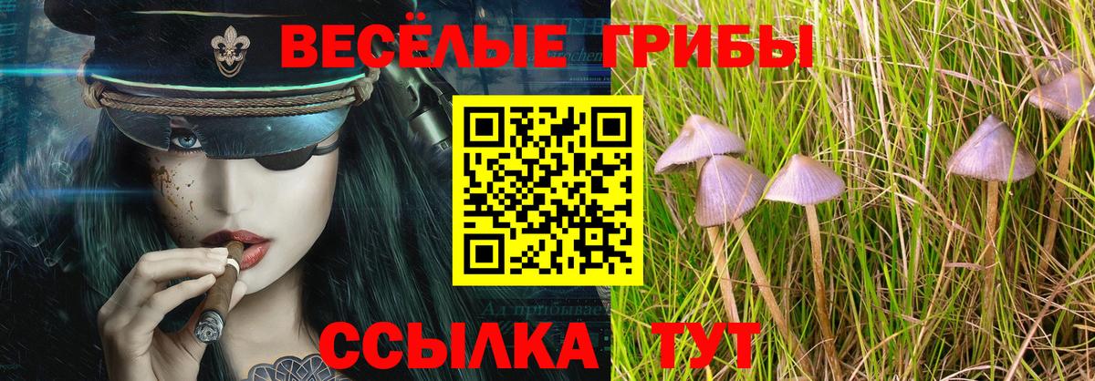 Галлюциногенные грибы MAGIC MUSHROOMS Минеральные Воды