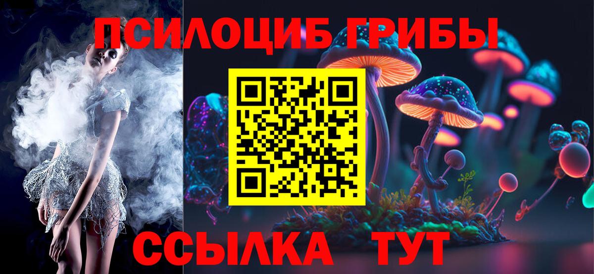 Псилоцибиновые грибы Cubensis  Псилоцибиновые грибы Psilocybine cubensis  Минеральные Воды 